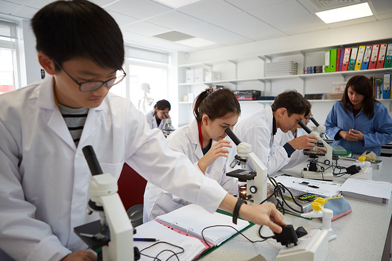 Students in Biology class at Abbey College Cambridge