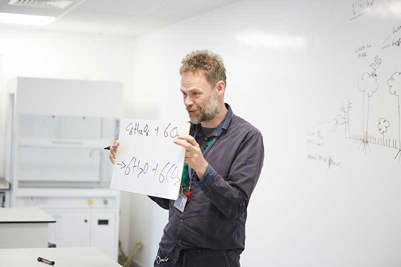 Teacher showing a series of chemicals on a whiteboard