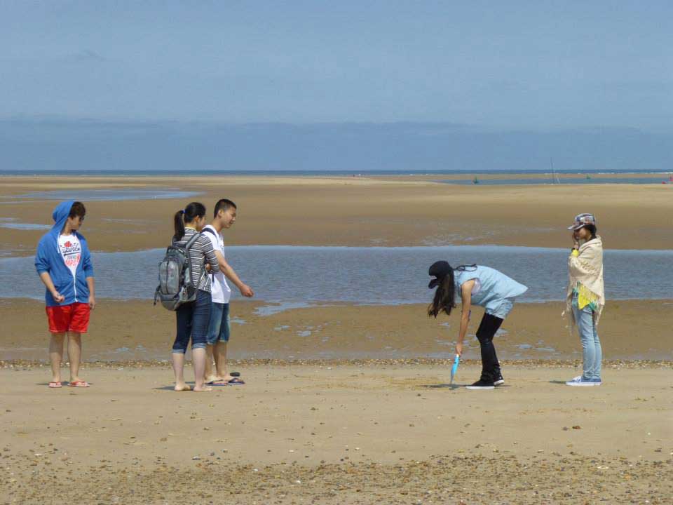 Students playing on the beach