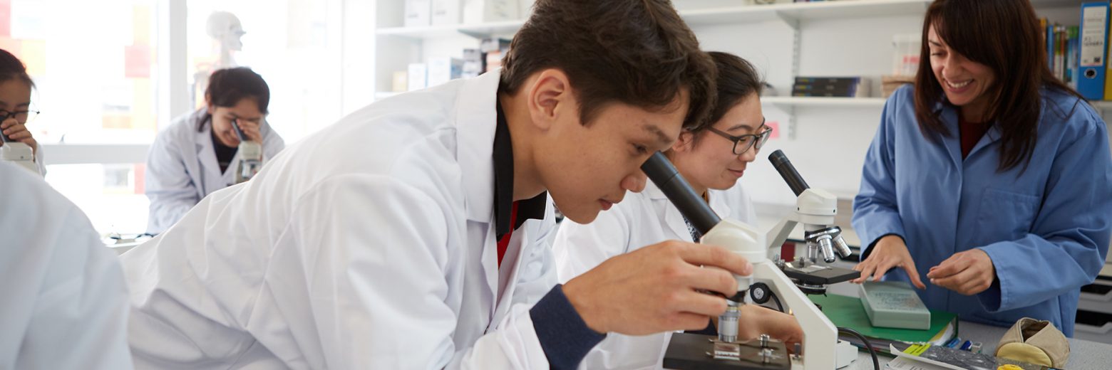 Teacher And Student In Chemistry Class At Abbey College Cambridge