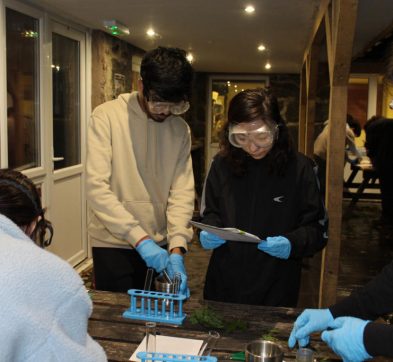 children placing material in test tubes