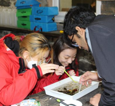 children inspecting water and leaves that they have collected