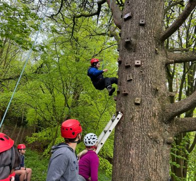 Group4 Setayesh Tree Climb