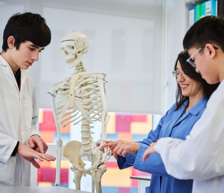 Beyond the Grades: What It Really Takes to Get Into Medical School